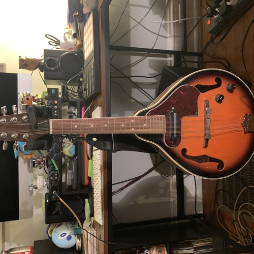 mburridgemusic's gear photo