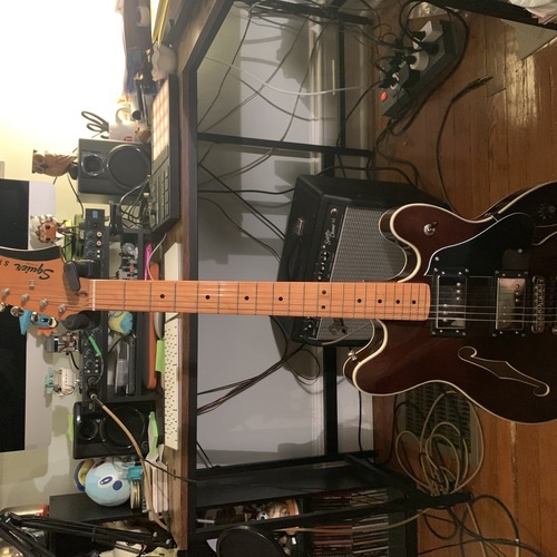 mburridgemusic's gear photo