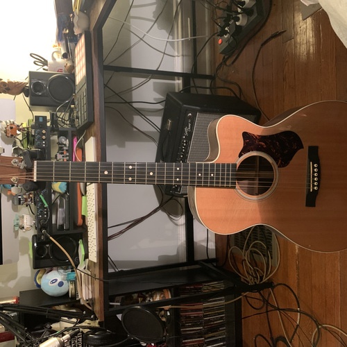 Photo of Martin