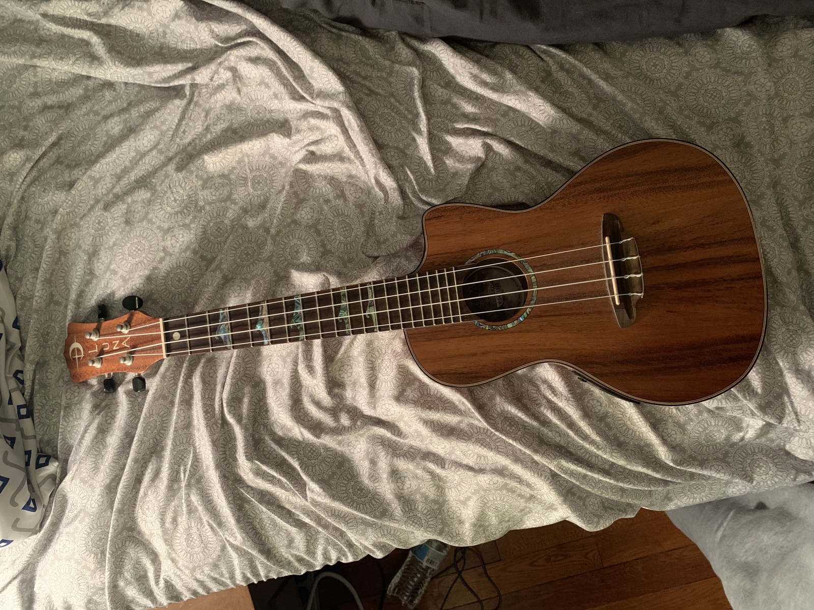 Music Gear Setup by mburridgemusic featuring Luna High-Tide Concert Acoustic/Electric Concert