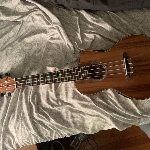 mburridgemusic's gear photo