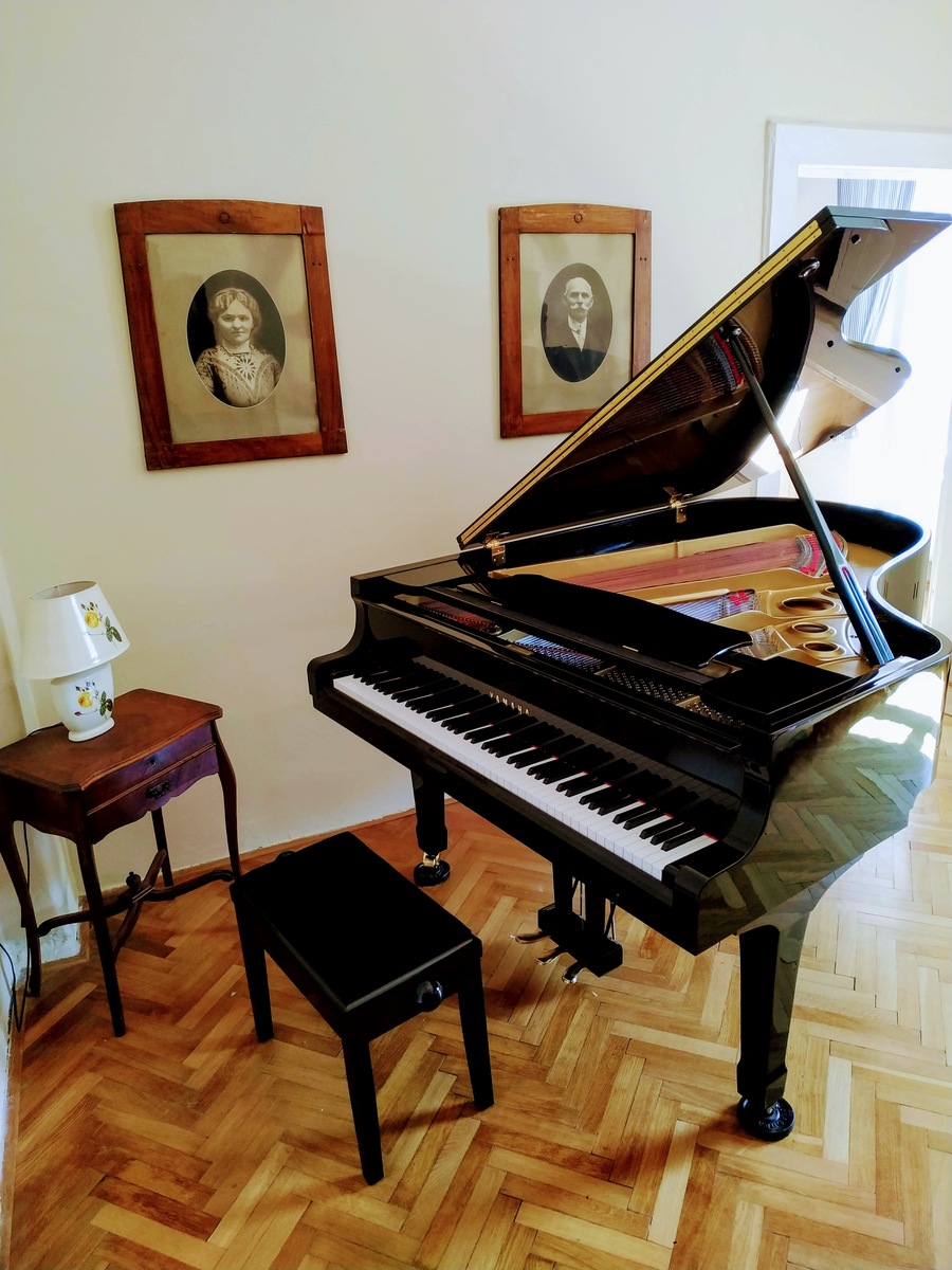 Music Gear Setup by charles_bridge_music_studio featuring Yamaha Grand Piano