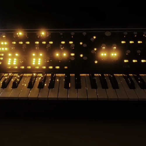 zenman_music's gear photo