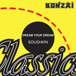 Dream Your Dream