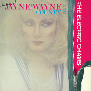 Wayne County & the Electric Chairs Members, Gear & Sound | Equipboard