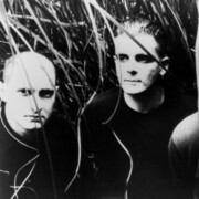 The Wolfgang Press