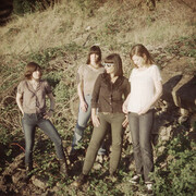 Wild Flag