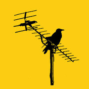 Birdpen