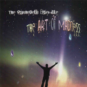 The Psychedelic Ensemble