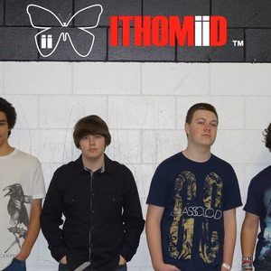 Ithomiid