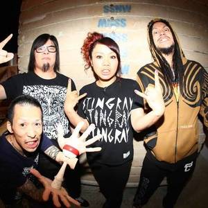 Maximum the Hormone