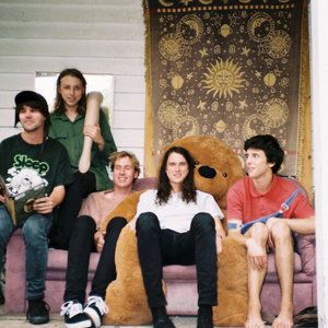 The Murlocs