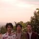 Wallows