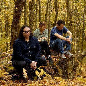 Yo La Tengo