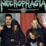 Necrophagia