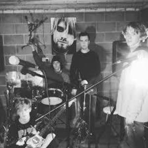 Hollow Vandals