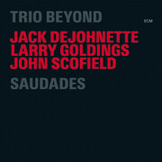 Trio Beyond