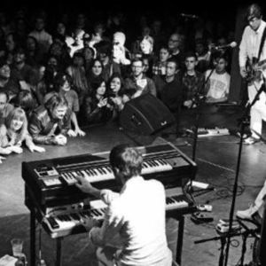 Ty Segall and The Freedom Band
