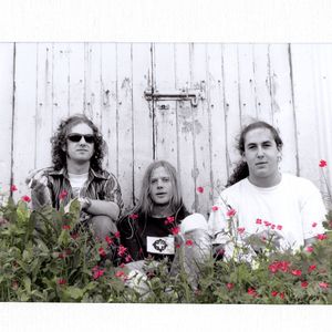 Thee Vinyl Creatures