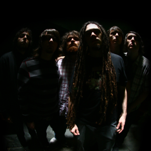Envydust
