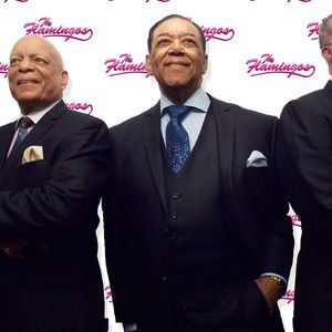 The Flamingos