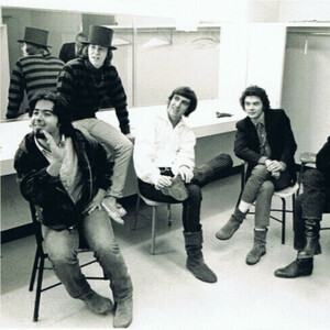 13th Floor Elevators Members, Gear & Sound | Equipboard