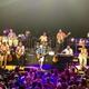 The Coral Reefer Band