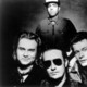 The Barracudas