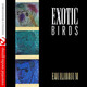 Exotic Birds