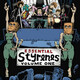 The Styrenes