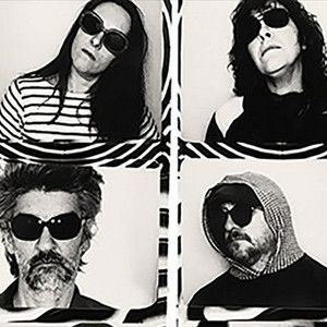 The Magnetic Fields