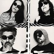 The Magnetic Fields