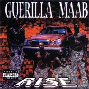 Guerilla Maab Members, Gear & Sound | Equipboard