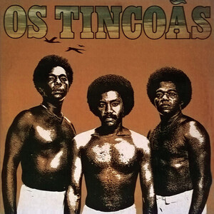 Os Tincoãs