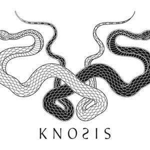 Knosis Members, Gear & Sound | Equipboard