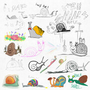 The Snails