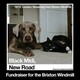 black midi, New Road
