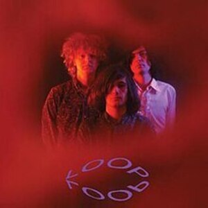 Loop