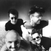 The Dentists