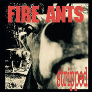 The Fire Ants
