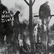 The Witch Trials