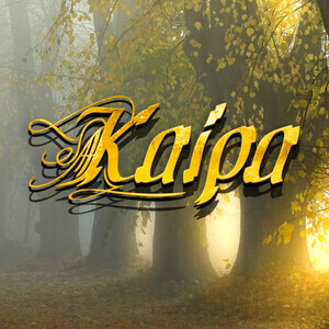 Kaipa Members, Gear & Sound | Equipboard