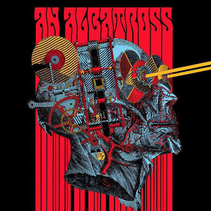 An Albatross
