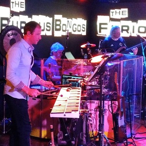 The Furious Bongos