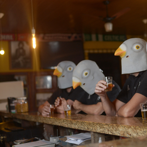 Pombo Sem Asa