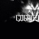 Cognizance