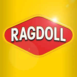 Ragdoll
