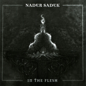 Nader Sadek