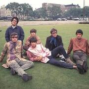 The Turtles