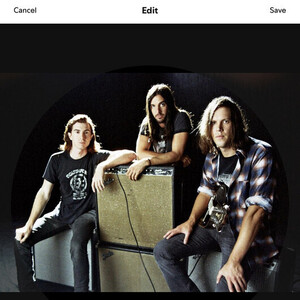 The Whigs